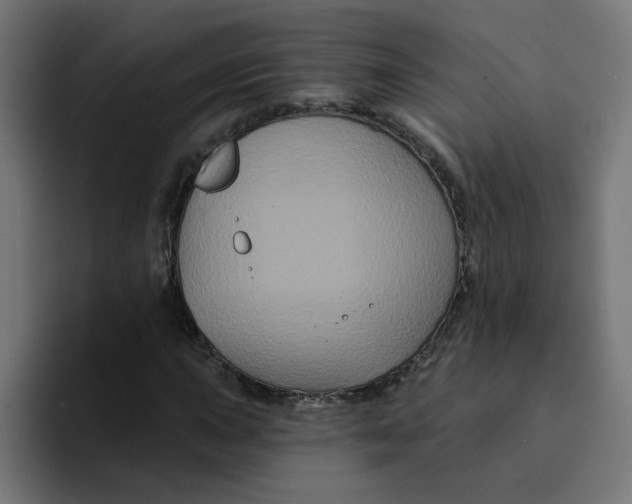 X0000094171015200711161703