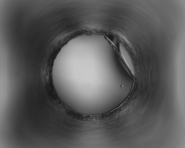 X0000094171016200711161703