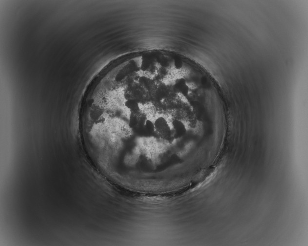 X0000094171023200711161703