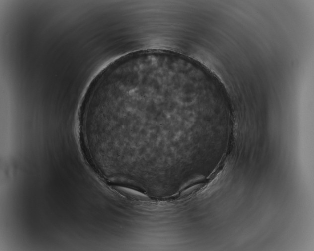 X0000094171024200711161703