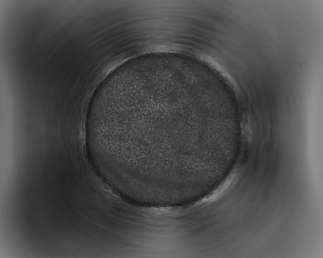 X0000094171025200711161703