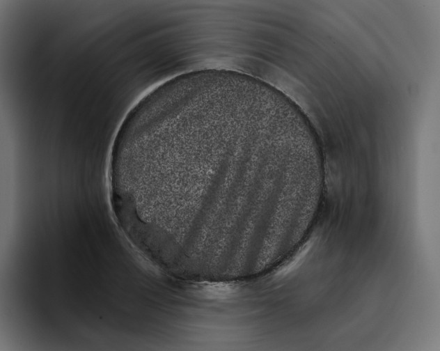 X0000094171028200711161704