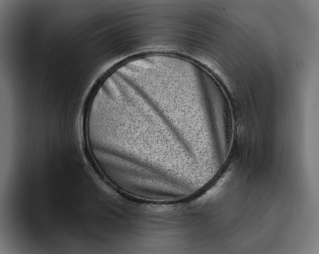 X0000094171030200711161704