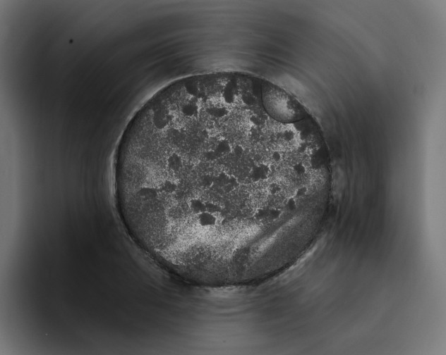 X0000094171031200711161704