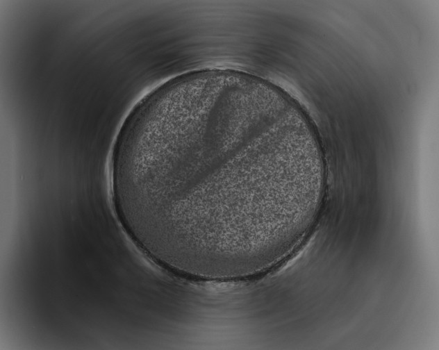 X0000094171032200711161704