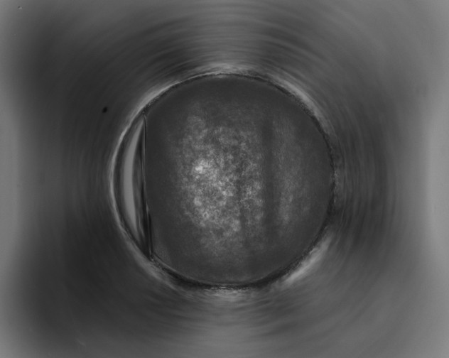 X0000094171034200711161704