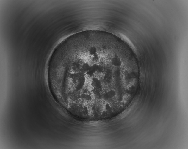 X0000094171035200711161704