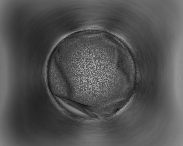 X0000094171038200711161704