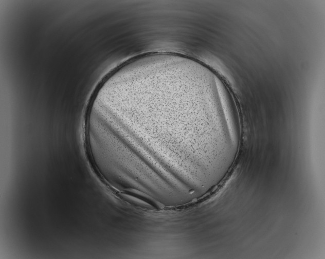 X0000094171040200711161704