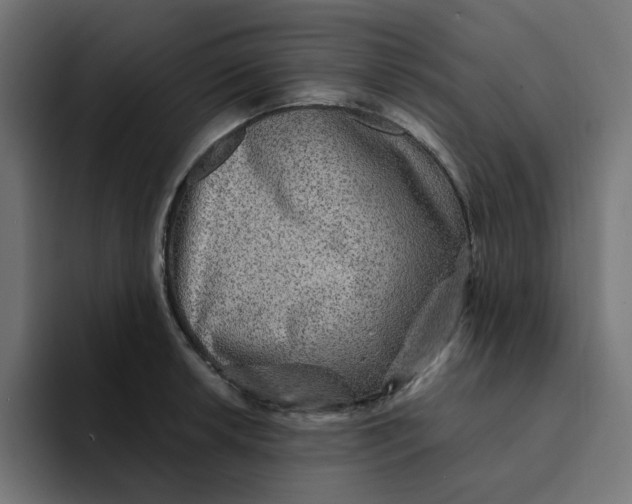 X0000094171042200711161704