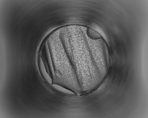 X0000094171043200711161704