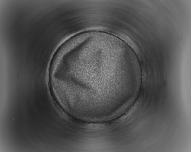 X0000094171044200711161704