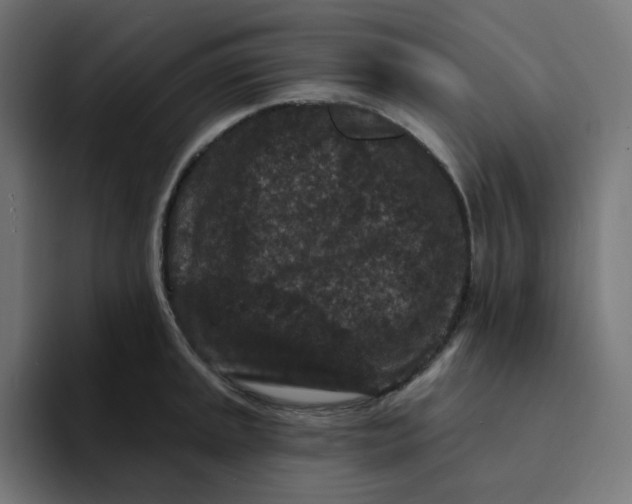 X0000094171045200711161704