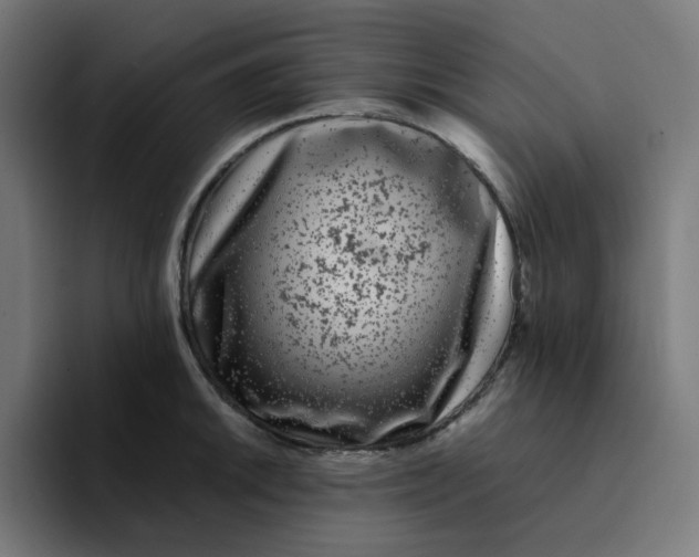 X0000094171046200711161704