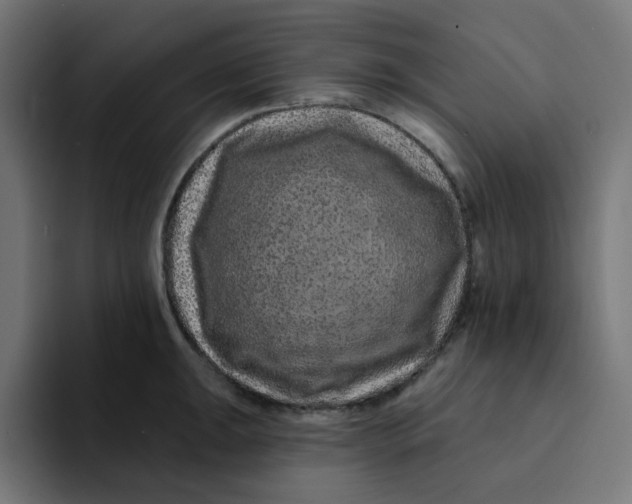 X0000094171047200711161704