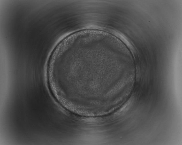 X0000094171048200711161704