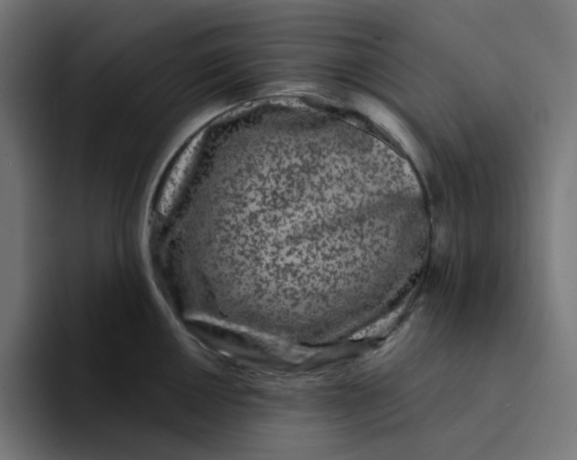 X0000094171050200711161704