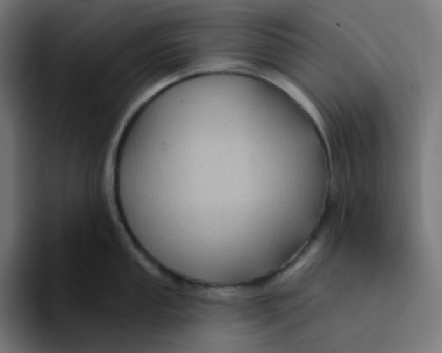 X0000094171053200711161704