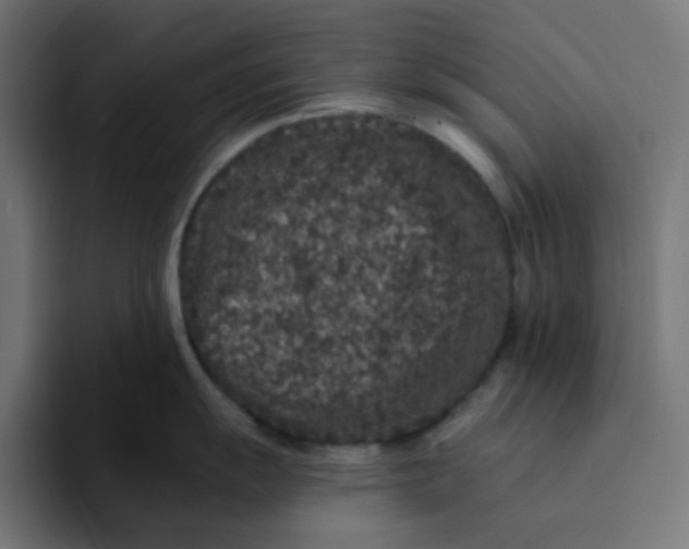 X0000094171055200711161704