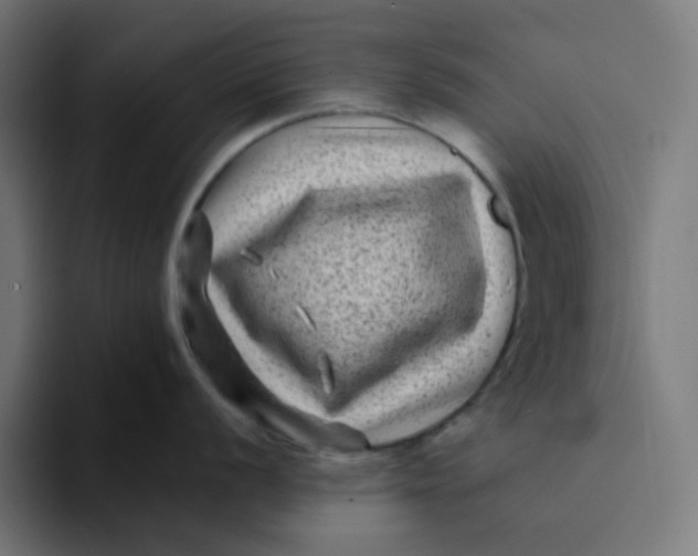 X0000094171056200711161704