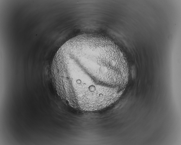 X0000094171059200711161703