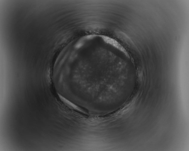 X0000094171060200711161703