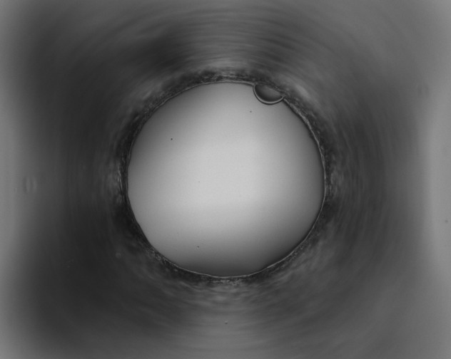 X0000094171062200711161703