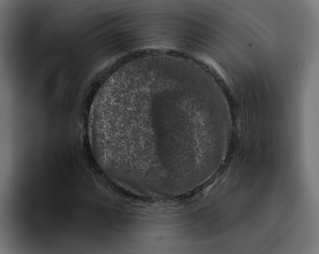 X0000094171064200711161703