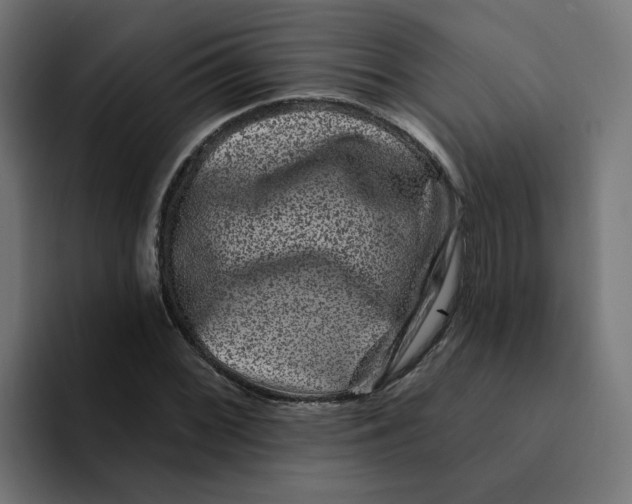 X0000094171068200711161703