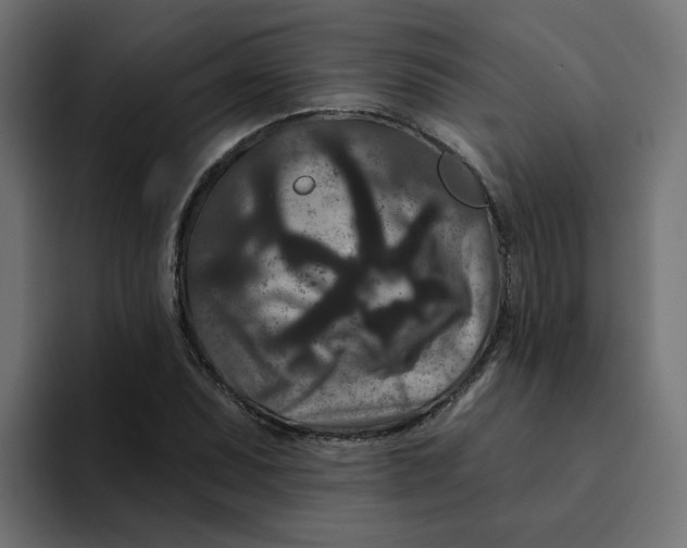 X0000094171071200711161703