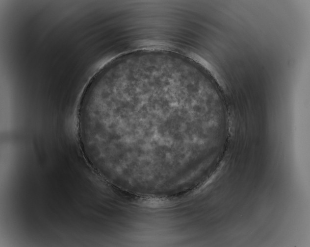 X0000094171074200711161703