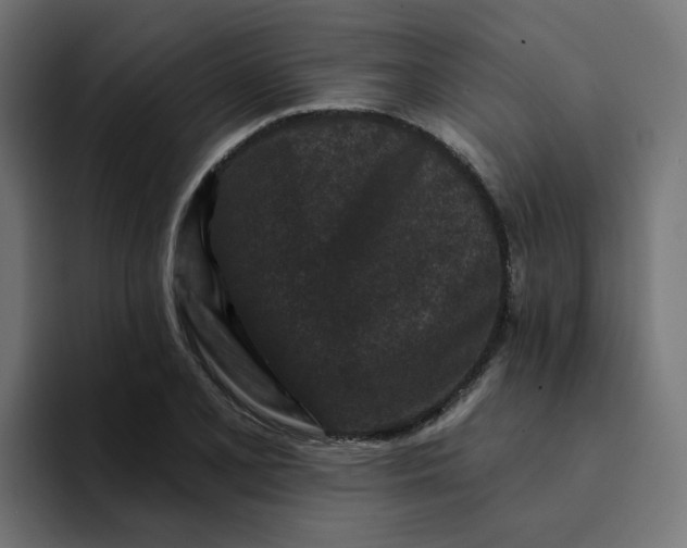 X0000094171077200711161703