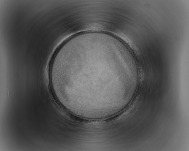 X0000094171078200711161703