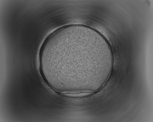 X0000094171080200711161703