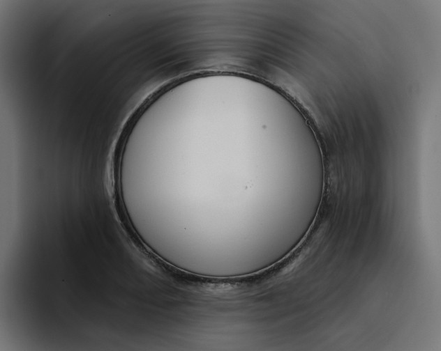 X0000094171082200711161703