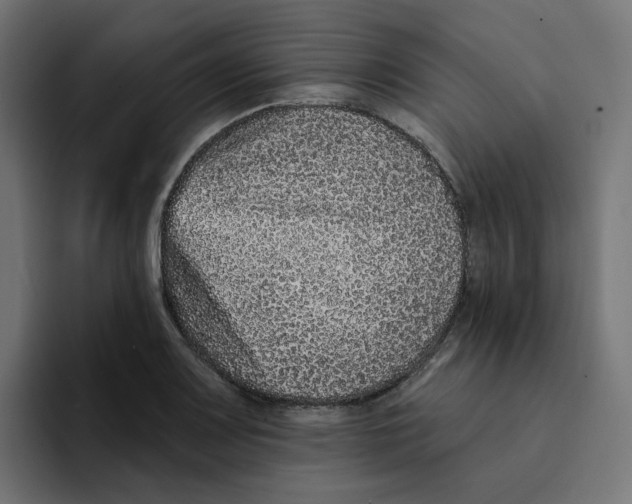 X0000094171083200711161703