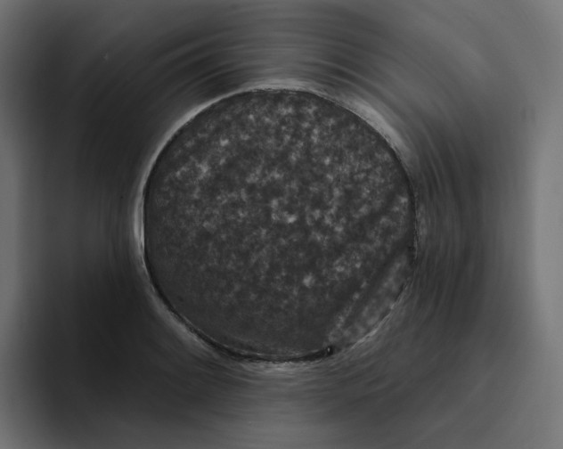 X0000094171084200711161703