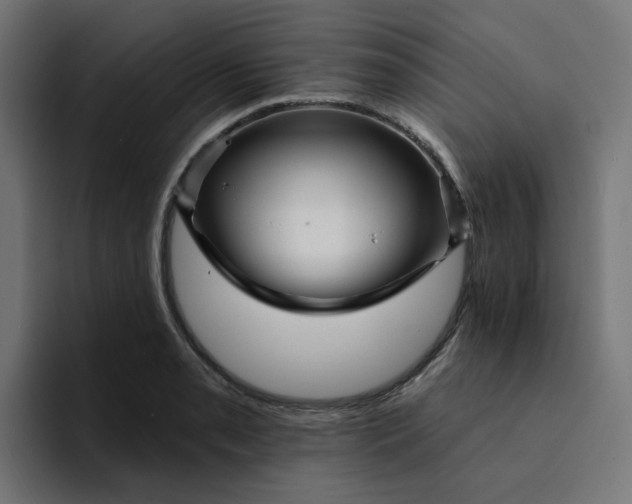 X0000094171085200711161703