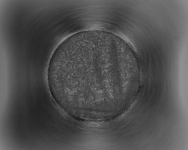 X0000094171086200711161703