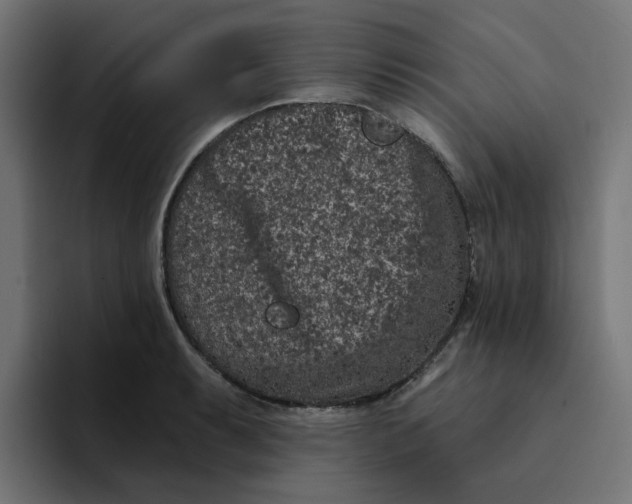 X0000094171087200711161703