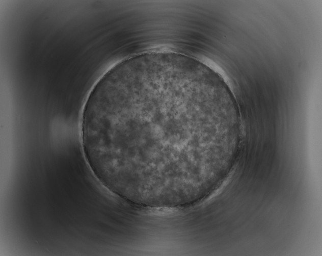 X0000094171090200711161703