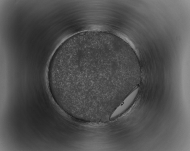 X0000094171091200711161703