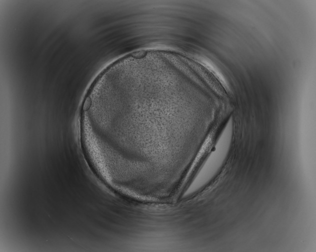 X0000094171092200711161703