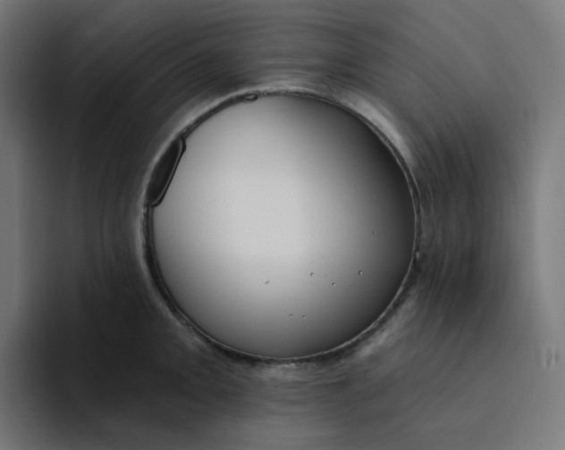 X0000094171093200711161703