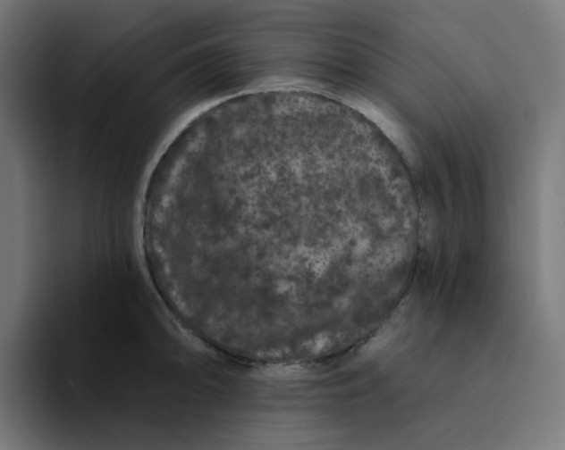 X0000094171094200711161703