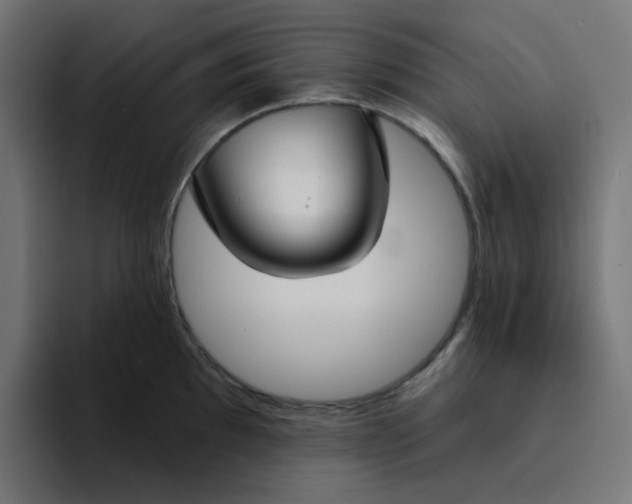 X0000094171097200711161703