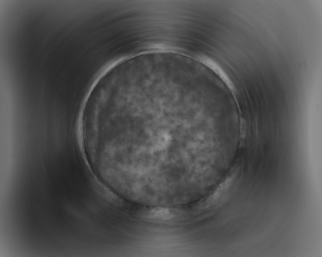 X0000094171098200711161703