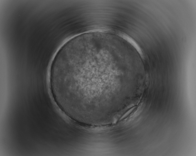 X0000094171099200711161703