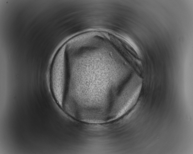 X0000094171100200711161703