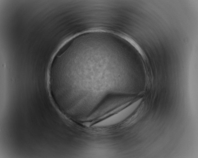 X0000094171101200711161703